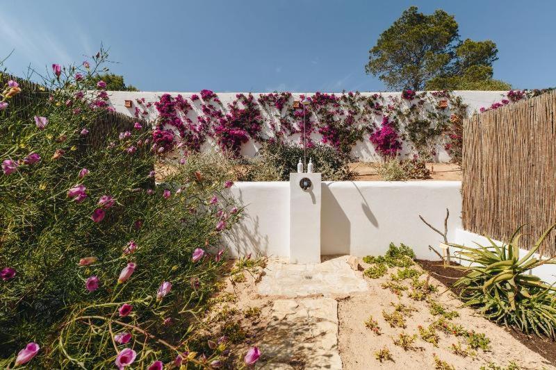 Petunia Ibiza, A Beaumier Hotel (Adults Only) Cala Vadella  Camera foto